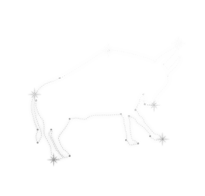 toro constelación