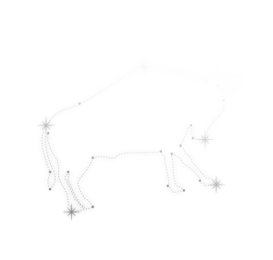 toro constelación