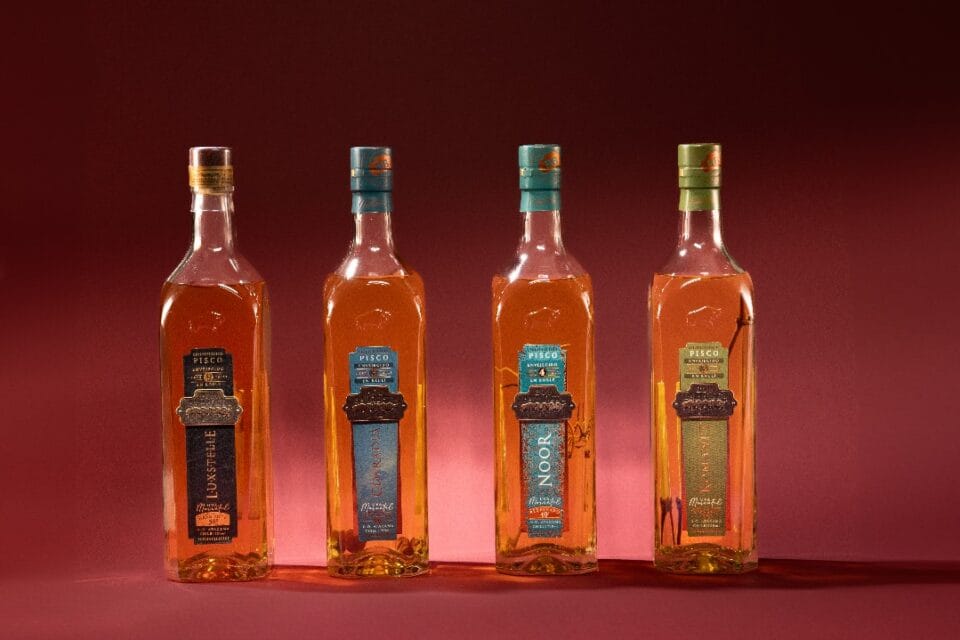 Guía 2025 para elegir pisco premium chileno (+ recomendaciones y dónde comprar)