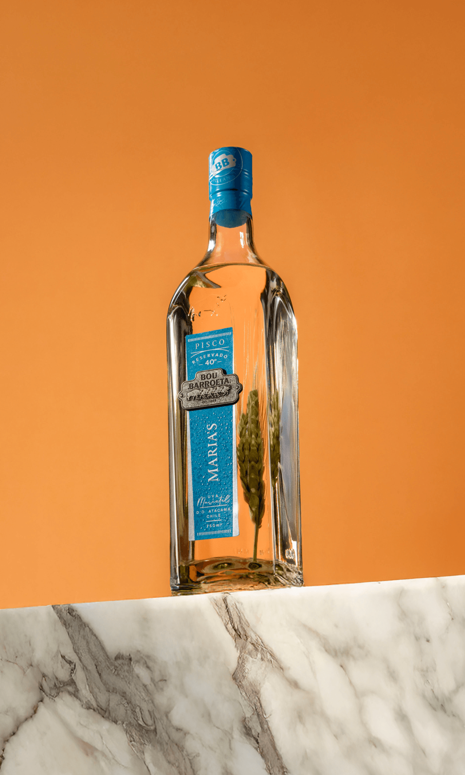 La ciencia detrás del pisco chileno premium: origen, calidad y premios internacionales