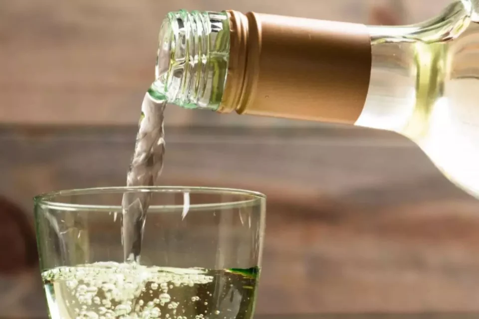 Bou Barroeta destacada por TVN tras obtener seis distinciones en USA Spirits Ratings 2026