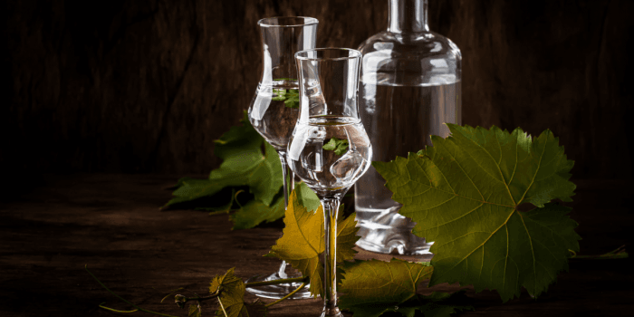 Bou Barroeta explica las diferencias entre grados y guarda del pisco chileno
